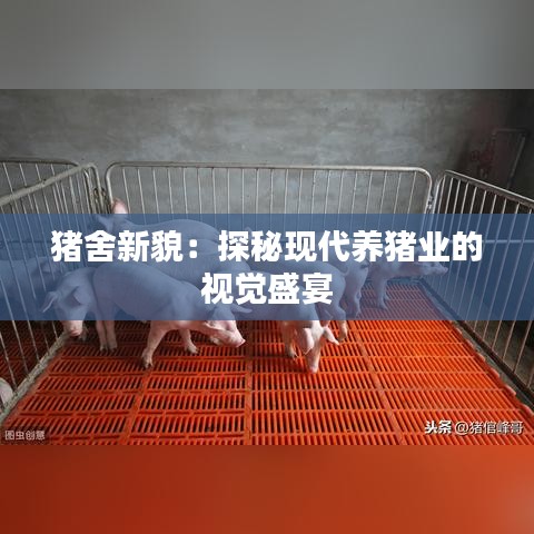 猪舍新貌：探秘现代养猪业的视觉盛宴