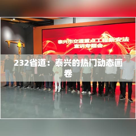 232省道：泰兴的热门动态画卷