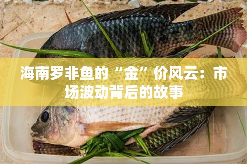 海南罗非鱼的“金”价风云：市场波动背后的故事