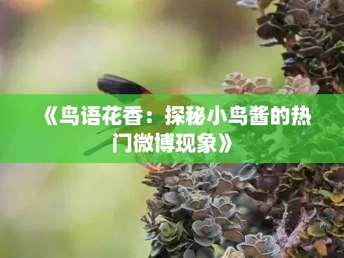 知识产权预算中心 第226页