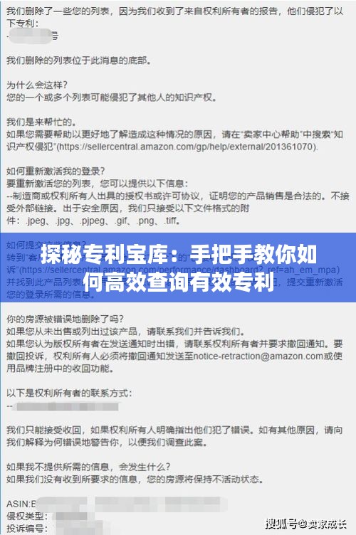 探秘专利宝库：手把手教你如何高效查询有效专利