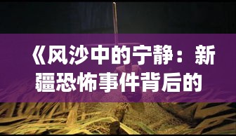 《风沙中的宁静：新疆恐怖事件背后的真相与希望》