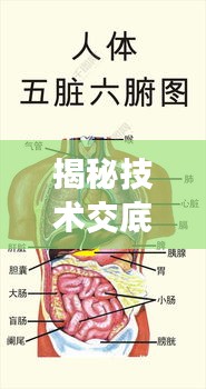 揭秘技术交底书的“五脏六腑”