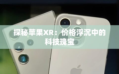 探秘苹果XR：价格浮沉中的科技瑰宝