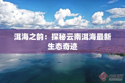 洱海之韵：探秘云南洱海最新生态奇迹