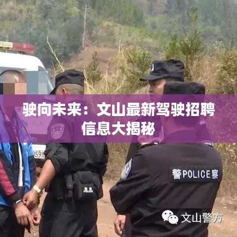 驶向未来：文山最新驾驶招聘信息大揭秘