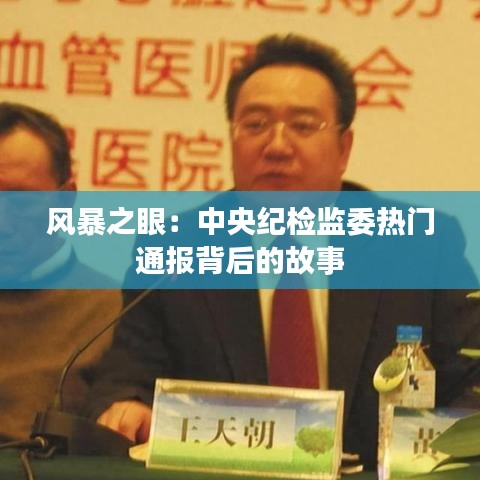 风暴之眼：中央纪检监委热门通报背后的故事