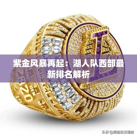 紫金风暴再起：湖人队西部最新排名解析