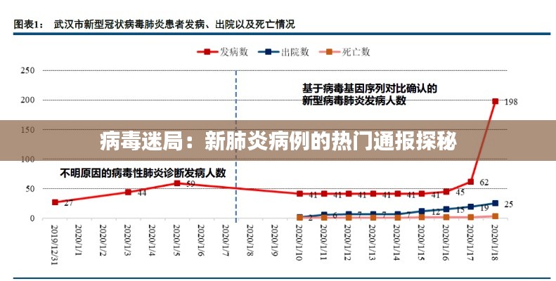 病毒迷局：新肺炎病例的热门通报探秘