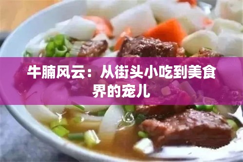 牛腩风云：从街头小吃到美食界的宠儿