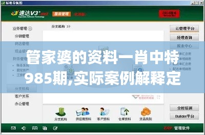 管家婆的资料一肖中特985期,实际案例解释定义_YE版4.659