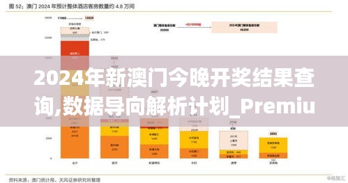 2024年新澳门今晚开奖结果查询,数据导向解析计划_Premium2.360