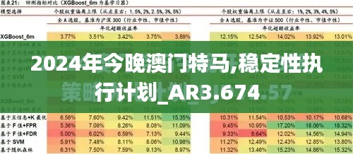 2024年今晚澳门特马,稳定性执行计划_AR3.674