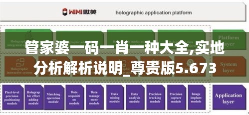 管家婆一码一肖一种大全,实地分析解析说明_尊贵版5.673