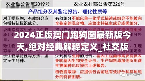 2024正版澳门跑狗图最新版今天,绝对经典解释定义_社交版6.820