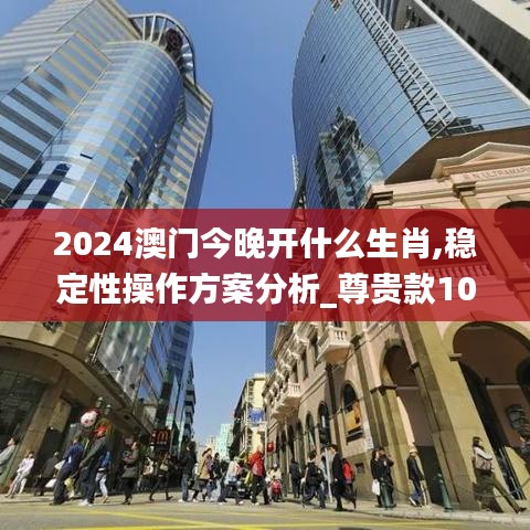 2024澳门今晚开什么生肖,稳定性操作方案分析_尊贵款10.268