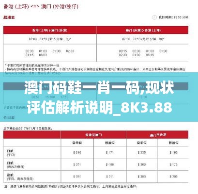 澳门码鞋一肖一码,现状评估解析说明_8K3.889