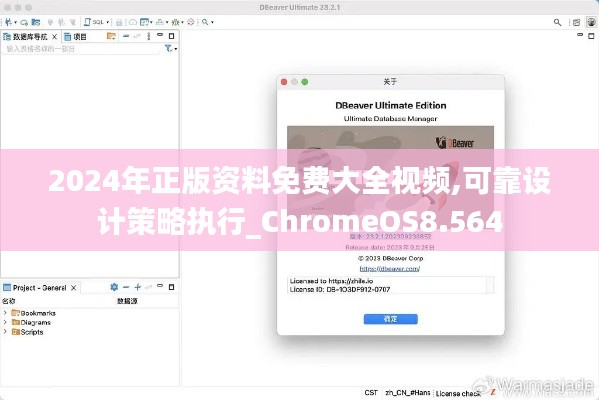 2024年正版资料免费大全视频,可靠设计策略执行_ChromeOS8.564