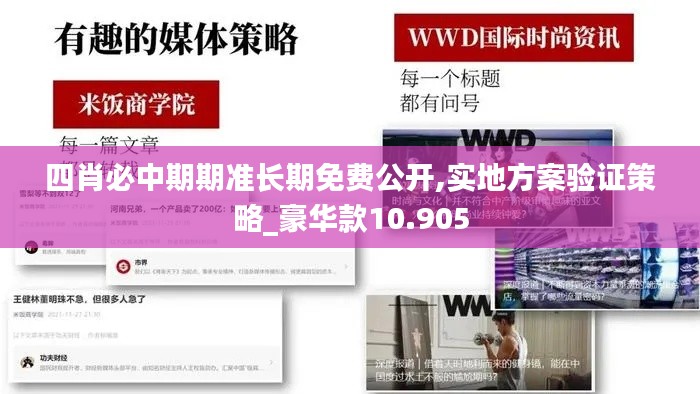 四肖必中期期准长期免费公开,实地方案验证策略_豪华款10.905