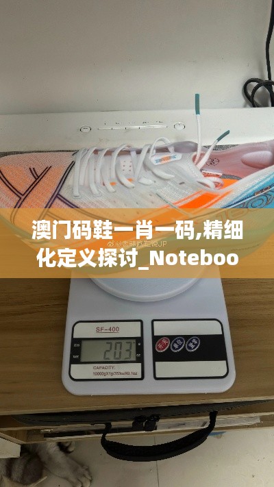 澳门码鞋一肖一码,精细化定义探讨_Notebook7.239