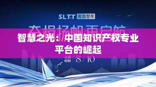 智慧之光：中国知识产权专业平台的崛起