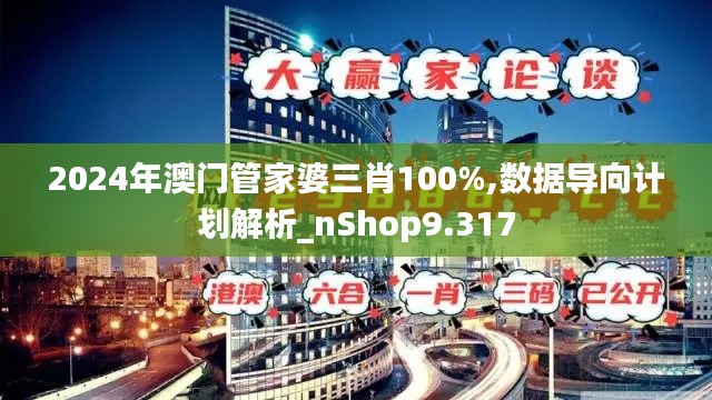 2024年澳门管家婆三肖100%,数据导向计划解析_nShop9.317