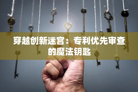 穿越创新迷宫：专利优先审查的魔法钥匙