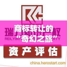 商标转让的“奇幻之旅”：如何领取你的无形资产