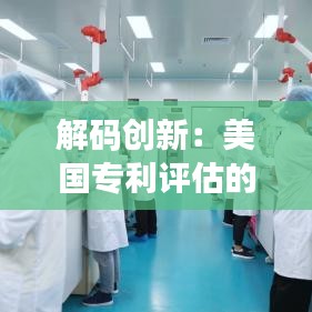 解码创新：美国专利评估的艺术与科学