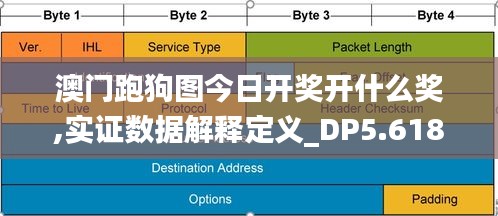 澳门跑狗图今日开奖开什么奖,实证数据解释定义_DP5.618