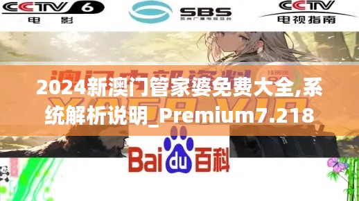 2024新澳门管家婆免费大全,系统解析说明_Premium7.218