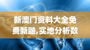 新澳门资料大全免费新鼬,实地分析数据应用_微型版10.676