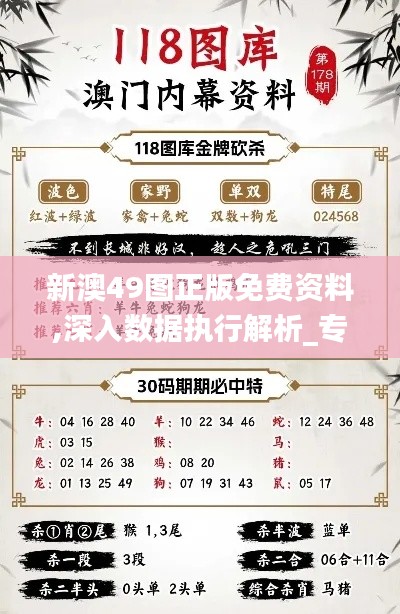 新澳49图正版免费资料,深入数据执行解析_专属版7.643