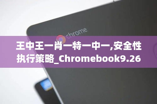 王中王一肖一特一中一,安全性执行策略_Chromebook9.264