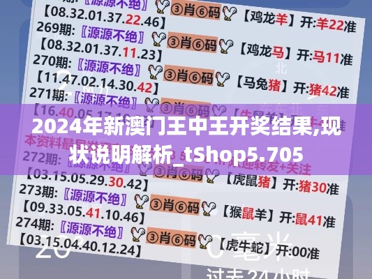 2024年新澳门王中王开奖结果,现状说明解析_tShop5.705