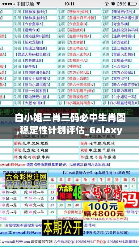 白小姐三肖三码必中生肖图,稳定性计划评估_Galaxy4.556