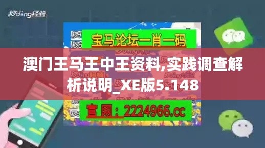 澳门王马王中王资料,实践调查解析说明_XE版5.148