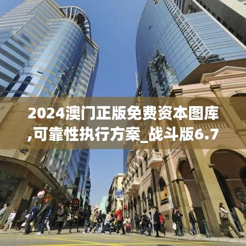 2024澳门正版免费资本图库,可靠性执行方案_战斗版6.790