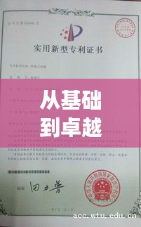 从基础到卓越：基础型专利与改进型专利的创新之旅