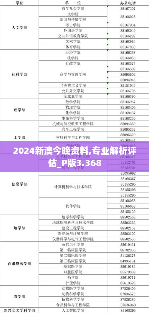 2024新澳今晚资料,专业解析评估_P版3.368