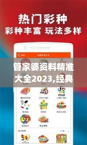 管家婆资料精准大全2023,经典解读说明_NE版5.613