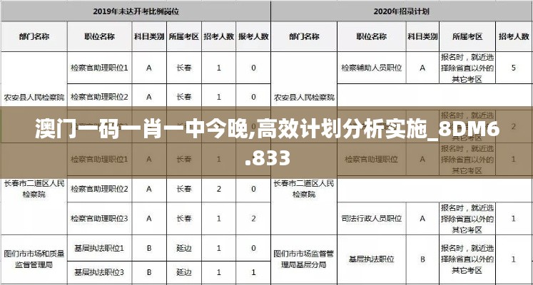 澳门一码一肖一中今晚,高效计划分析实施_8DM6.833