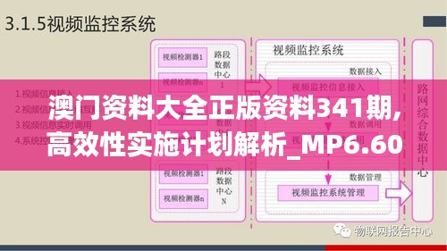 澳门资料大全正版资料341期,高效性实施计划解析_MP6.608