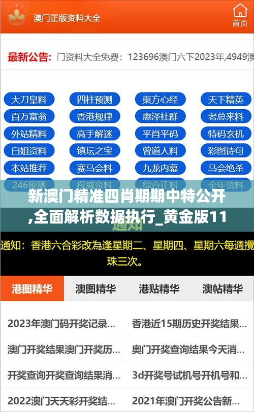 新澳门精准四肖期期中特公开,全面解析数据执行_黄金版11.343