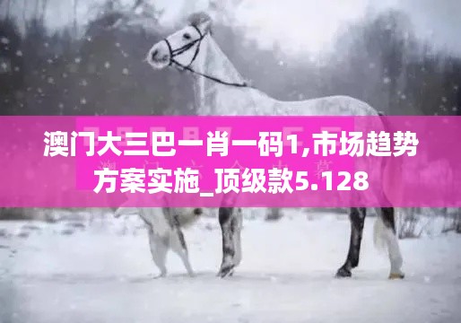 澳门大三巴一肖一码1,市场趋势方案实施_顶级款5.128