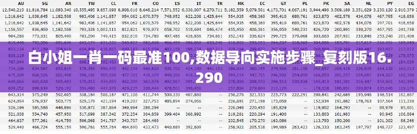 白小姐一肖一码最准100,数据导向实施步骤_复刻版16.290