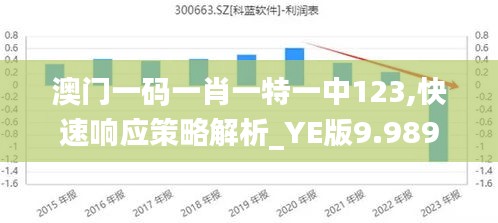 澳门一码一肖一特一中123,快速响应策略解析_YE版9.989