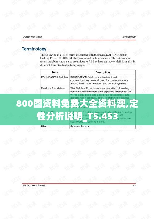 800图资料免费大全资料澳,定性分析说明_T5.453