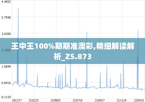 王中王100℅期期准澳彩,精细解读解析_Z5.873