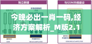 今晚必出一肖一码,经济方案解析_M版2.195